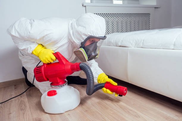 Best Spider Control Near Me  in Ringwood, NJ