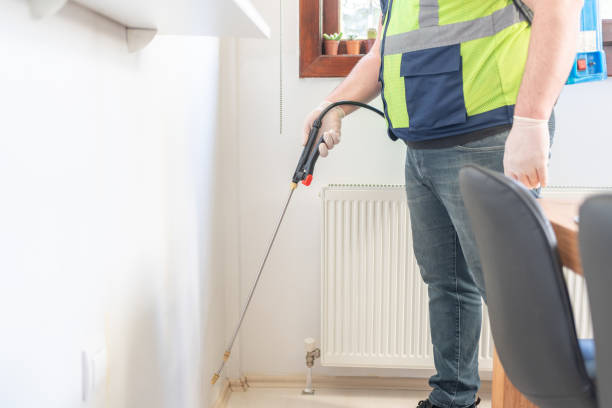 Best Wasp Removal Services  in Ringwood, NJ