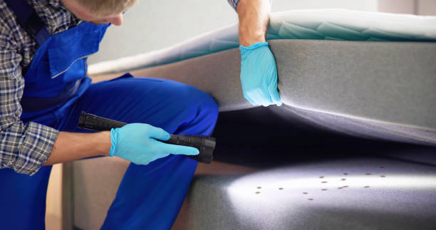 Best Termite Control Services  in Ringwood, NJ