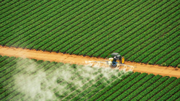 Best Commercial Pest Control Services  in Ringwood, NJ