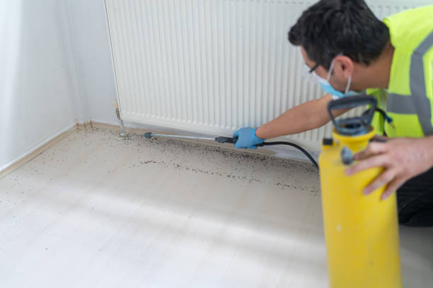 Best Emergency Pest Control  in Ringwood, NJ
