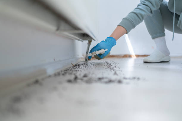 Best Residential Pest Control  in Ringwood, NJ
