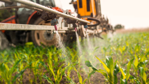 Best Ant Control Services  in Ringwood, NJ